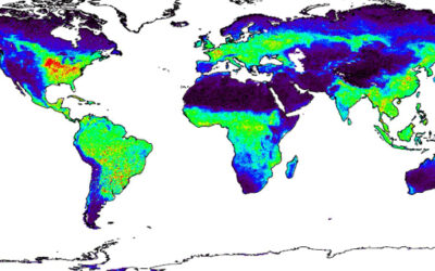 Miden la fotosíntesis global a partir de la fluorescencia clorofílica