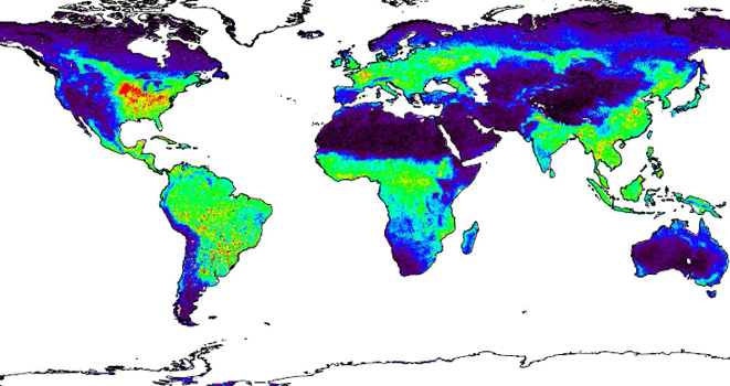 Miden la fotosíntesis global a partir de la fluorescencia clorofílica