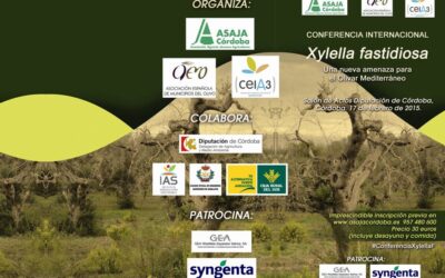 Conferencia Internacional «Xyllela Fastidiosa. Una nueva amenaza para el olivar mediterráneo»