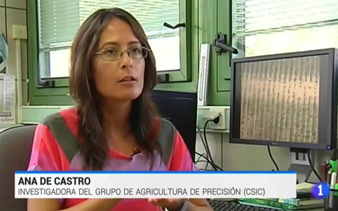 Grupo imaPing en TVE1