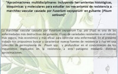 Aproximaciones multidisciplinares incluyendo herramientas histológicas, bioquímicas y moleculares para estudiar los mecanismos de resistencia a marchitez vascular causada por Fusarium oxysporum en guisante (Pisum sativum)