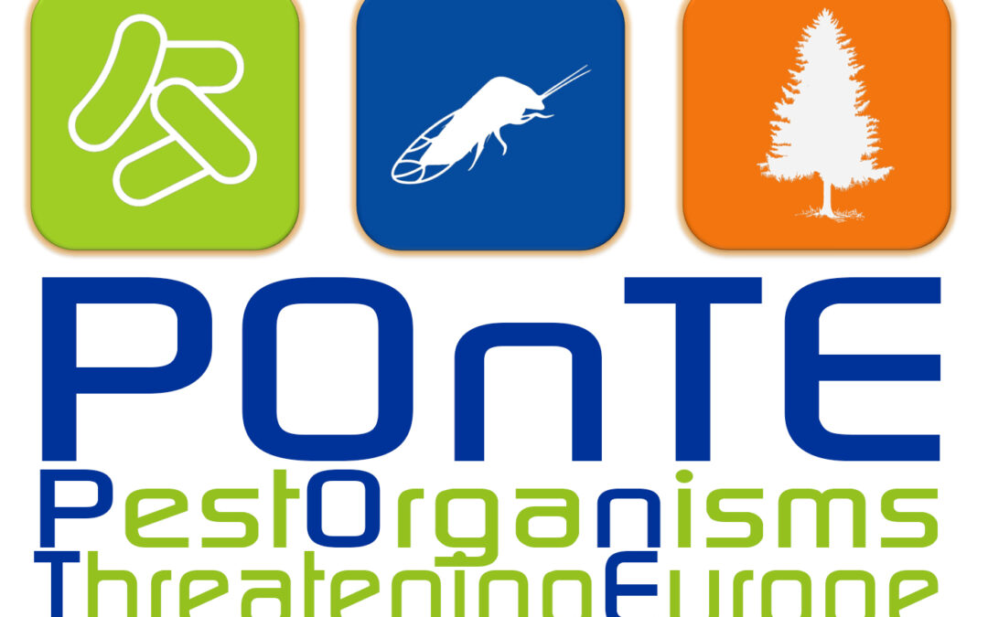 Investigadores del IAS participan en el proyecto POnTE