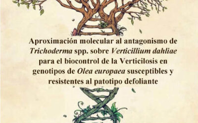 Defensa tesis doctoral – Irene Carrero Carrón