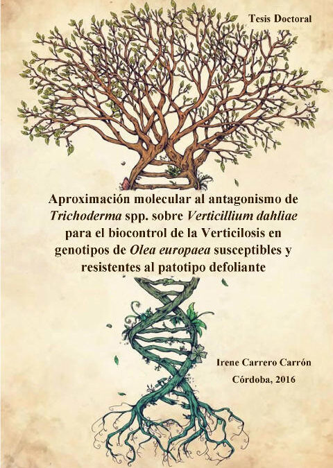Defensa tesis doctoral – Irene Carrero Carrón