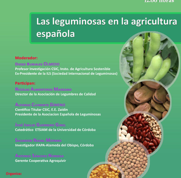 Mesa redonda «Las leguminosas en la agricultura española» – 14 de diciembre a las 12.00 horas