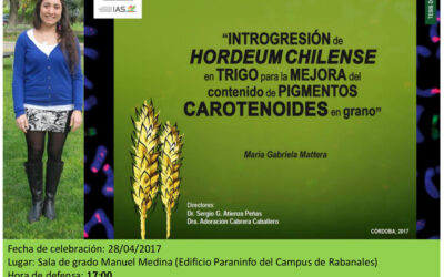 Defensa tesis doctoral – María Gabriela Mattera