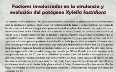 Seminario: «Factores involucrados en la virulencia y evolución del patógeno Xylella fastidiosa» por Leonardo De la Fuente