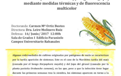 Defensa tesis doctoral – Dª Carmen Mª Ortiz Bustos