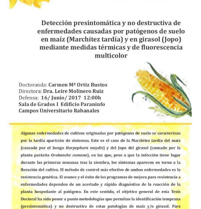 Defensa tesis doctoral – Dª Carmen Mª Ortiz Bustos