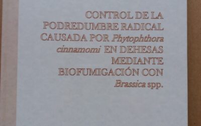 Presentación tesis doctoral: “Control de la podredumbre radical causada por Phytophthora cinnamomi en dehesas mediante biofumigación con Brassica spp.”