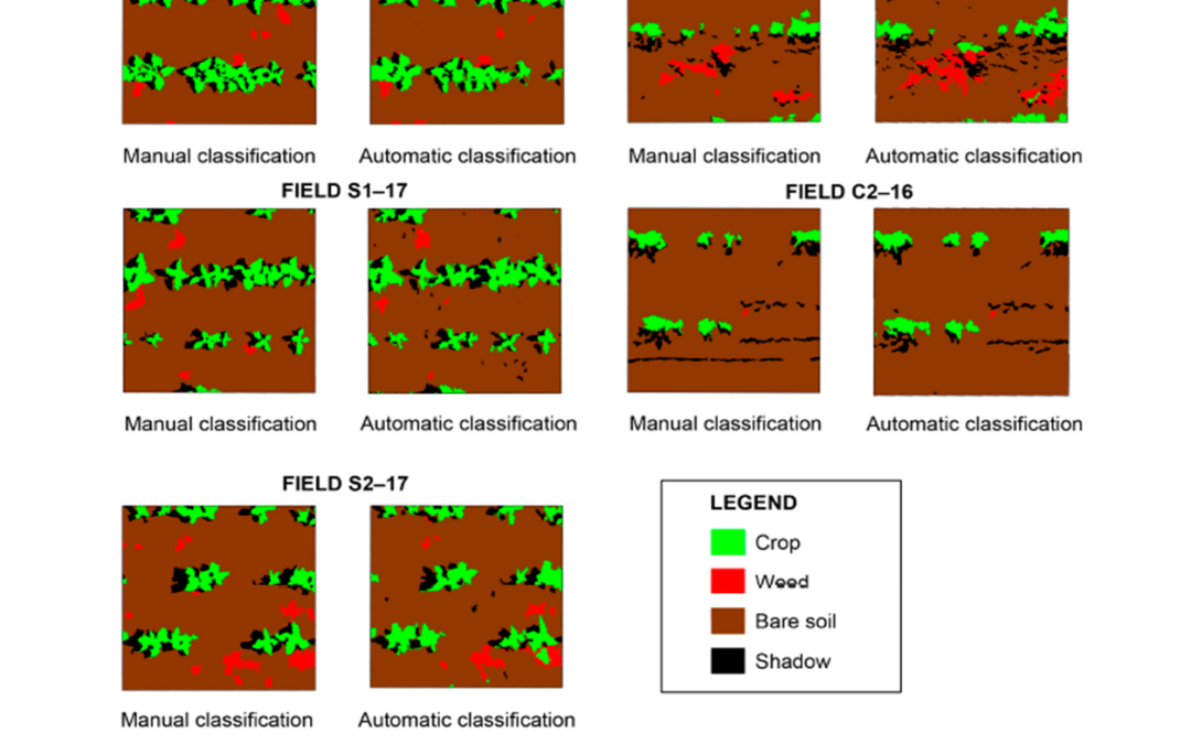 Una investigación del Grupo imaPing del IAS-CSIC catalogada de especial interés por la revista Remote Sensing