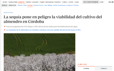 La sequía pone en peligro la viabilidad del cultivo del almendro en Córdoba – Elías Fereres