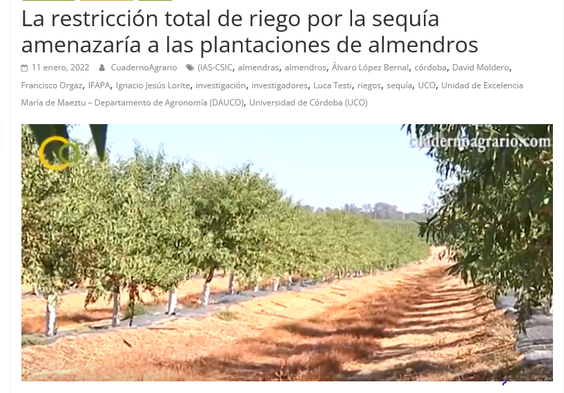 Seguimiento de la noticia: La restricción total de riego por la sequía amenazaría a las plantaciones de almendros – David Moldero, Luca Testi y Francisco Orgaz