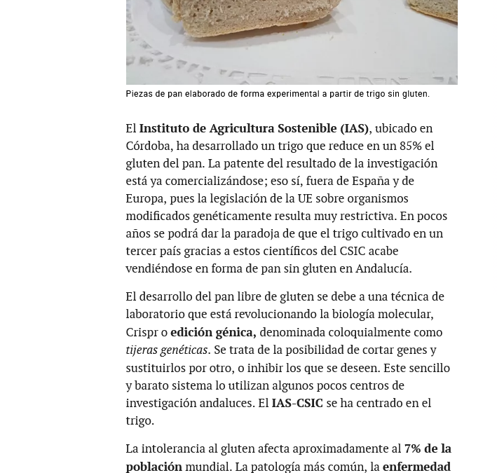 Un nuevo pan sin gluten de origen andaluz, pero sin las bendiciones de la UE –  Francisco Barro losada