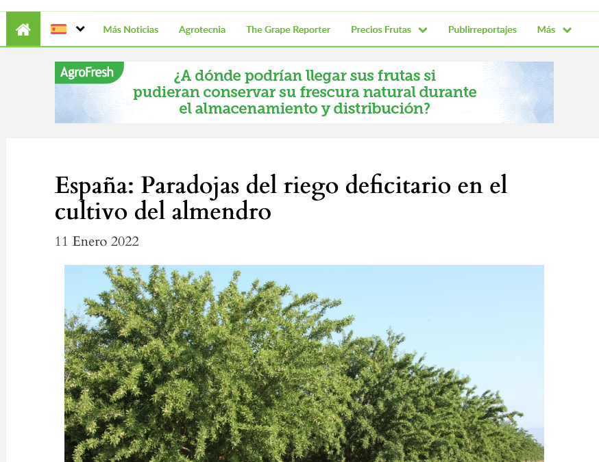 Paradojas del riego deficitario en el cultivo del almendro