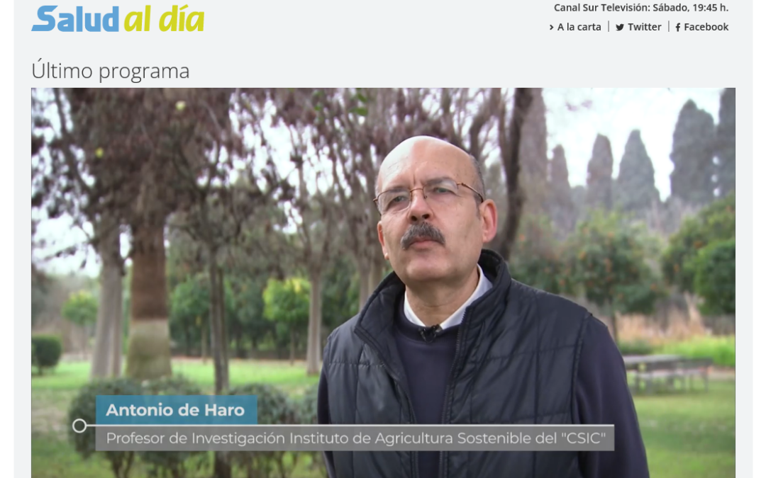 Programa «Salud al día» Canal Sur Televisión – Antonio de Haro