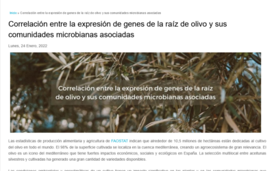 Seguimiento de la noticia: Correlación entre la expresión de genes de la raíz de olivo y sus comunidades microbianas asociadas – Jesús Mercado