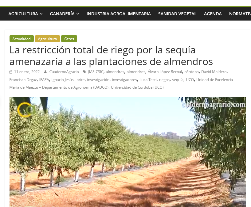 La restricción total de riego por la sequía amenazaría a las plantaciones de almendros – David Moldero, Luca Testi y Francisco Orgaz