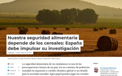 Nuestra seguridad alimentaria depende de los cereales: España debe impulsar su investigación – Elena Prats