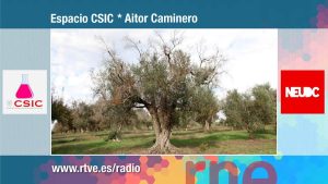 Programa “No es un día cualquiera” – RNE – Juan Antonio Navas Cortés