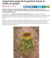 26 Abril – SHUI BROKERAGE INNOVATION EVENT- Presencial y Online