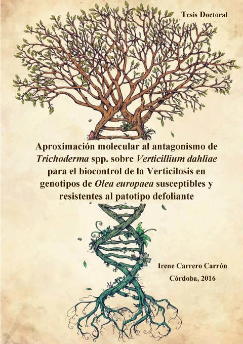 T.D. Irene Carrero Carrón_Página_001