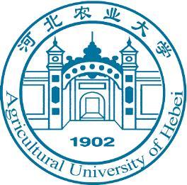 hebei