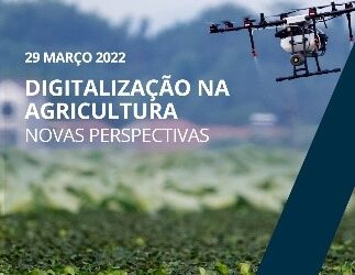 Oportunidades para la tasa de aplicación variable de nitrógeno en los sistemas de trigo de secano cordobeses – un análisis económico