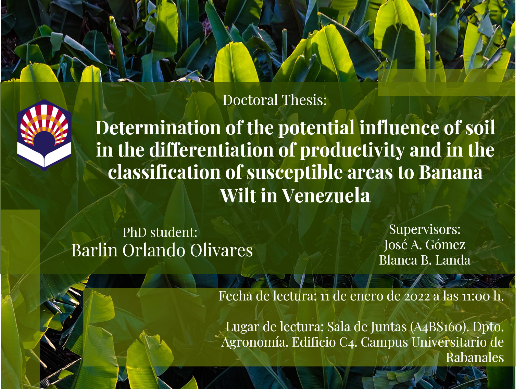 Determination of the potential influence of soil in the differentiation of productivity and in the classification of susceptible areas to Banana Wilt in Venezuela