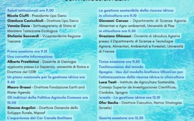 Spagna – Uso del modello biofisico OliveCan per l’ottimizzazione della risorsa idrica in olivicoltura