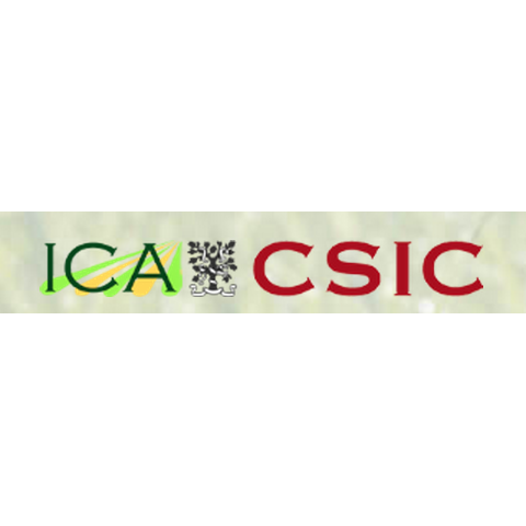 ICA-CSIC