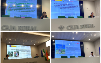 Seminario sobre presentación de resultados finales del Proyecto de Investigación “DESARROLLO DE ESTRATEGIAS DE ERRADICACIÓN, CONTENCIÓN Y CONTROL DE Xylella fastidiosa EN ESPAÑA