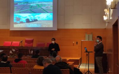 Taller de barreras vegetales en paisajes agrícolas