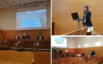 IMPLICACIÓN DE GENES DE Pseudomonas simiae PICF7 EN ENDOFITISMO, CONTROL BIOLÓGICO Y PROMOCIÓN DEL CRECIMIENTO VEGETAL