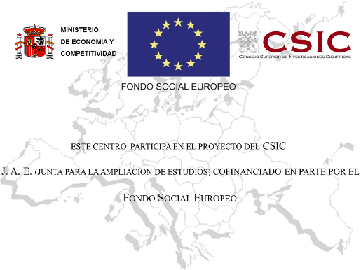 logo_FSE_515