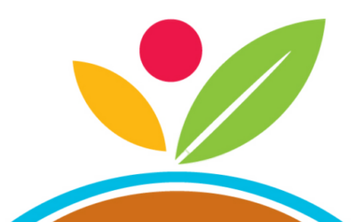 Proceso de selección de nueva Dirección del Instituto de Agricultura Sostenible.