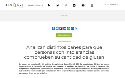 Analizan distintos panes para que personas con intolerancias comprueben su cantidad de gluten