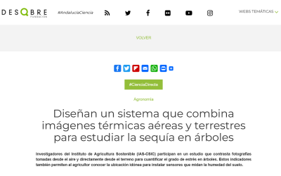 Diseñan un sistema que combina imágenes térmicas aéreas y terrestres para estudiar la sequía en árboles – Victoria González Dugo