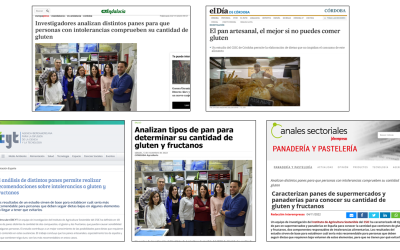 Seguimiento de la noticia: Analizan distintos panes para que personas con intolerancias comprueben su cantidad de gluten