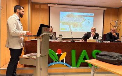 Defensa Tesis Doctoral – Manuel Anguita Maeso