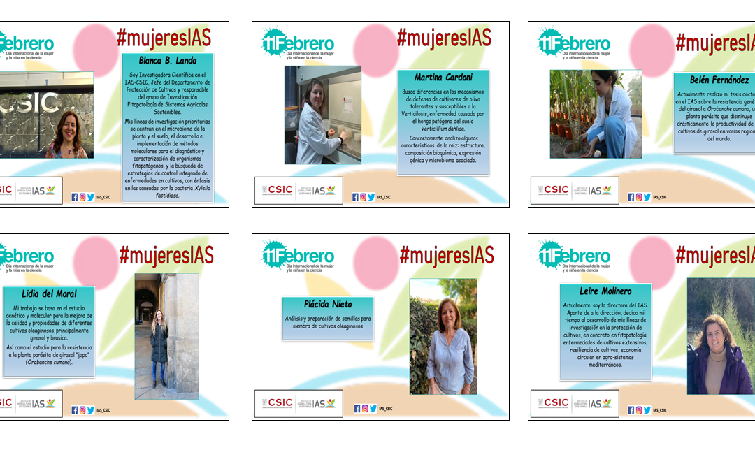 Día Internacional de la Mujer y la Niña en la Ciencia en el IAS: #mujeresIAS (I)