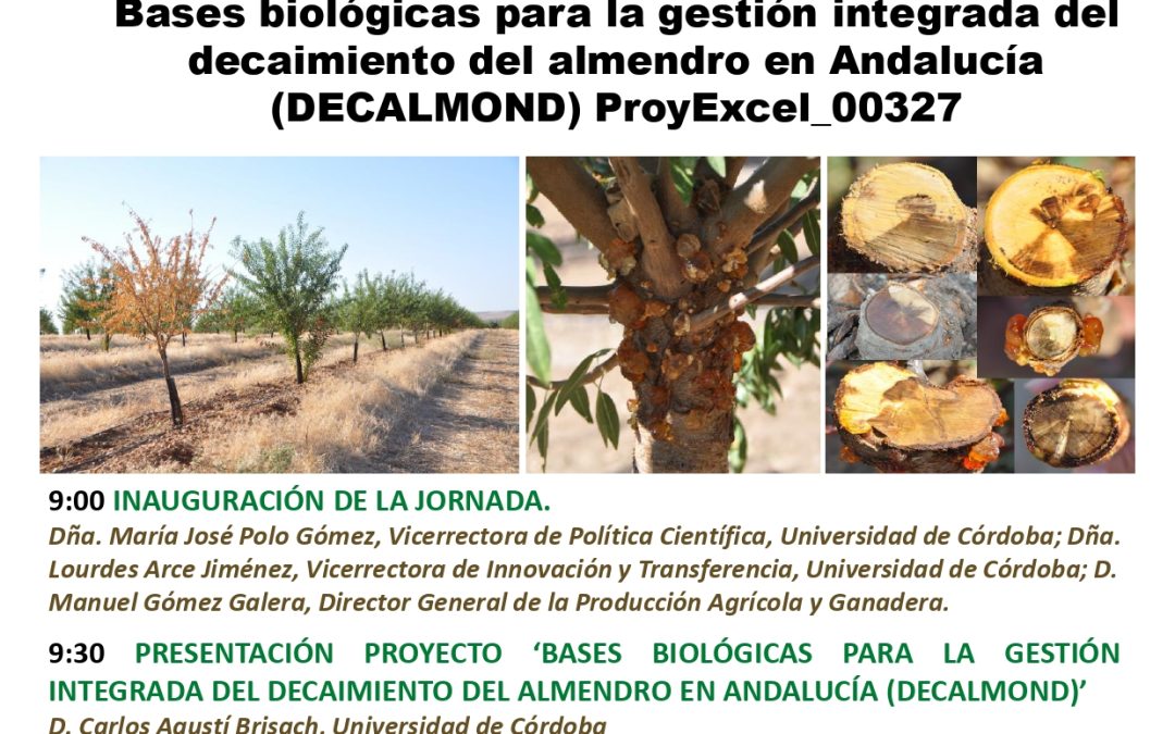 Jornada Técnica del Almendro –  Bases biológicas para la gestión integrada del decaimiento del almendro en Andalucía (DECALMOND)