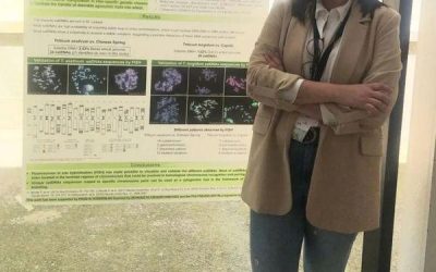 Best PhD Student Poster Presentation Award – Ana Mª Gálvez Galván