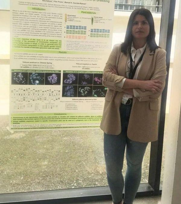 Best PhD Student Poster Presentation Award – Ana Mª Gálvez Galván