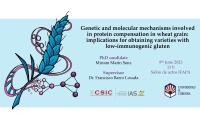 Defensa Tesis Doctoral – Miriam Marín Sanz