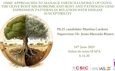 Defensa Tesis Doctoral – Martina Cardoni