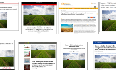 Seguimiento de la noticia: Cepsa y CSIC investigarán la plantación de cultivos energéticos en zonas rurales para producir biocombustibles