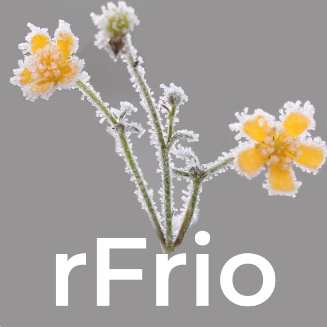 rFrio_logo