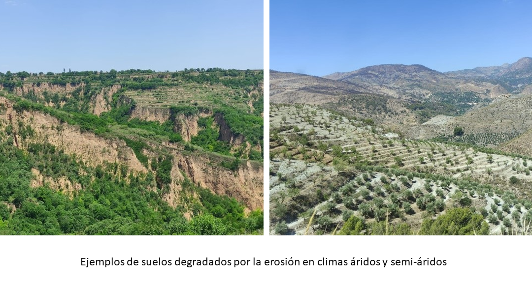 El IAS se une a la celebración del Día Internacional de la Conservación del Suelo – Laboratorio de Erosión del Suelos IAS-CSIC