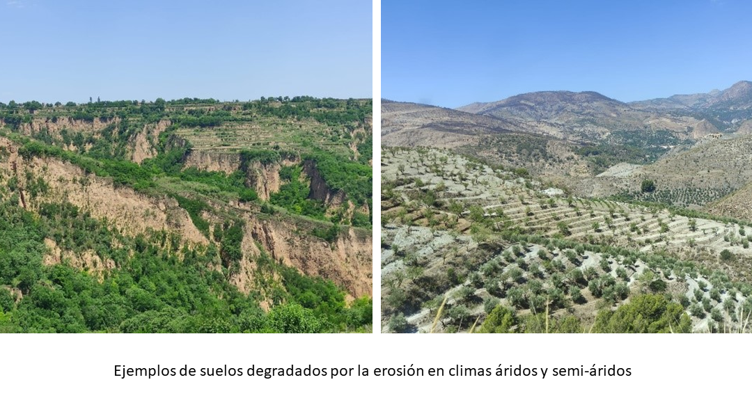 El IAS se une a la celebración del Día Internacional de la Conservación del Suelo –  Laboratorio de Erosión del Suelos IAS-CSIC